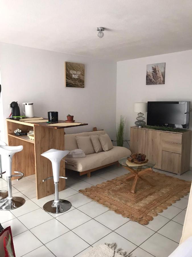 T2 Climatise Jardin & Court De Tennis/Piscine /Parking/Fibre Toulouse Ngoại thất bức ảnh